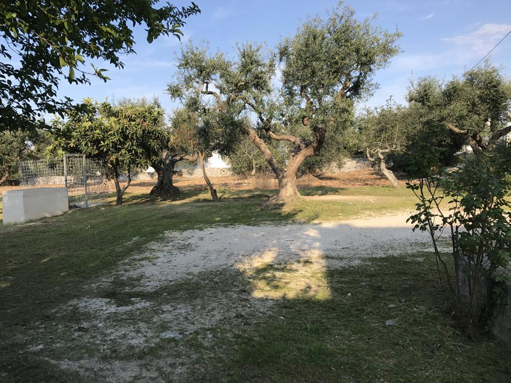 Holiday home Il Trullo Di Santanna Locorotondo